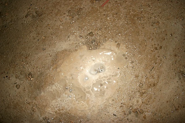mali rak 2010 172.JPG